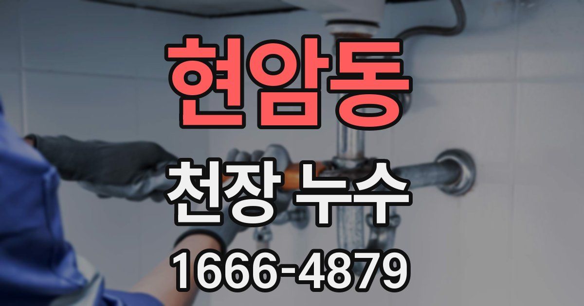 현암동 천장 누수