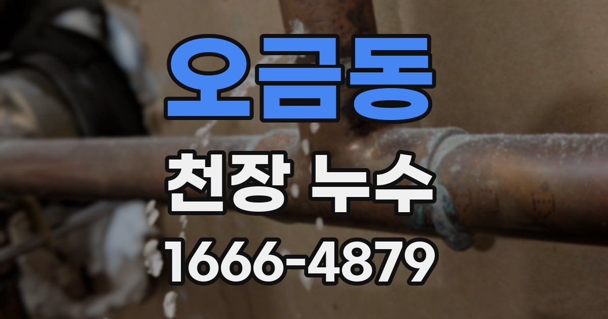 오금동 천장 누수