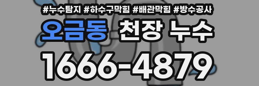 오금동 천장 누수