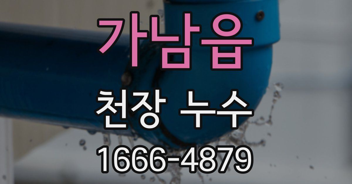 가남읍 천장 누수