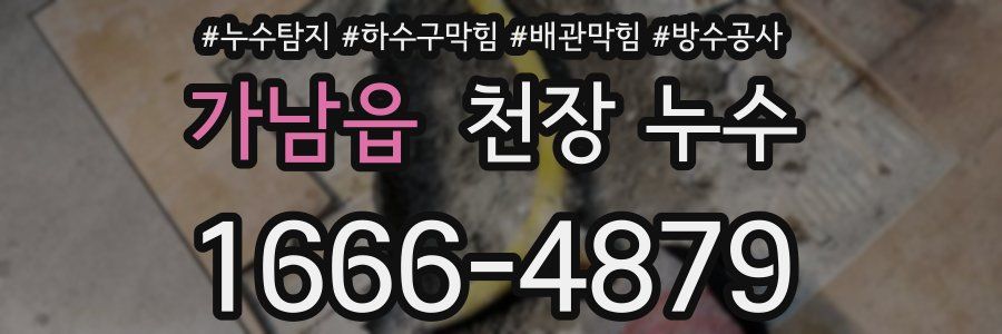 가남읍 천장 누수