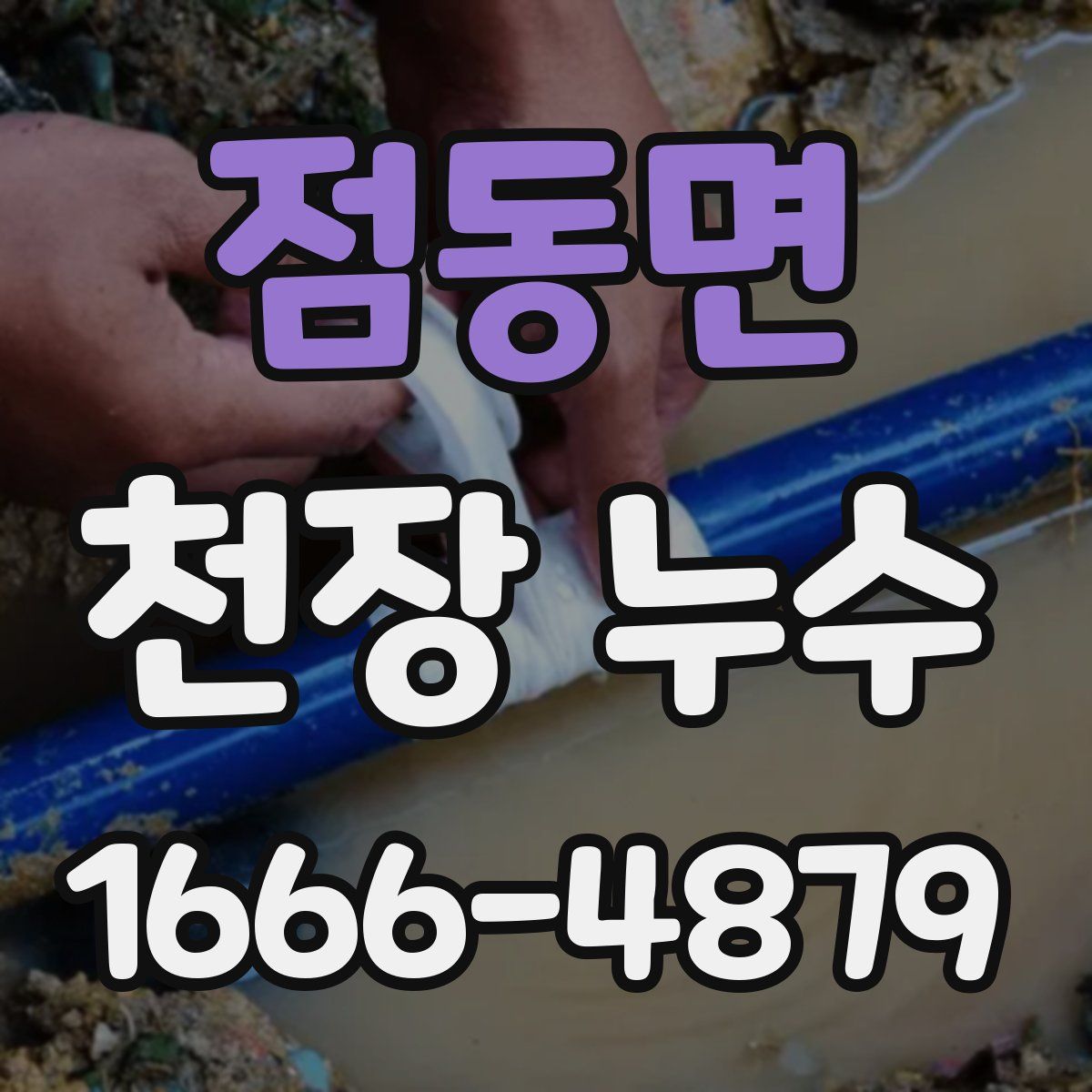 점동면 천장 누수
