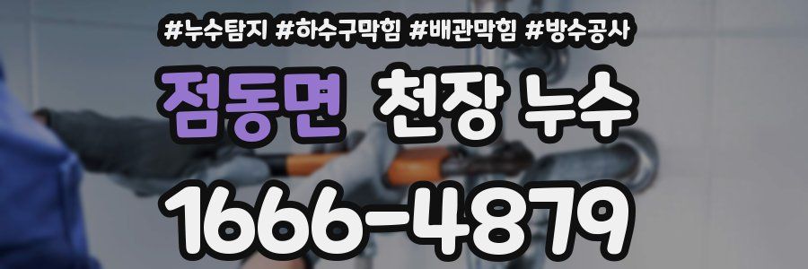 점동면 천장 누수