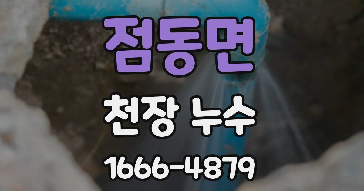 점동면 천장 누수