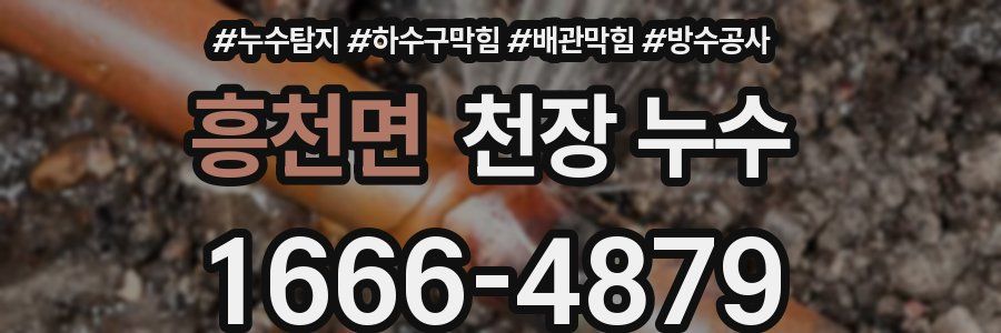 흥천면 천장 누수