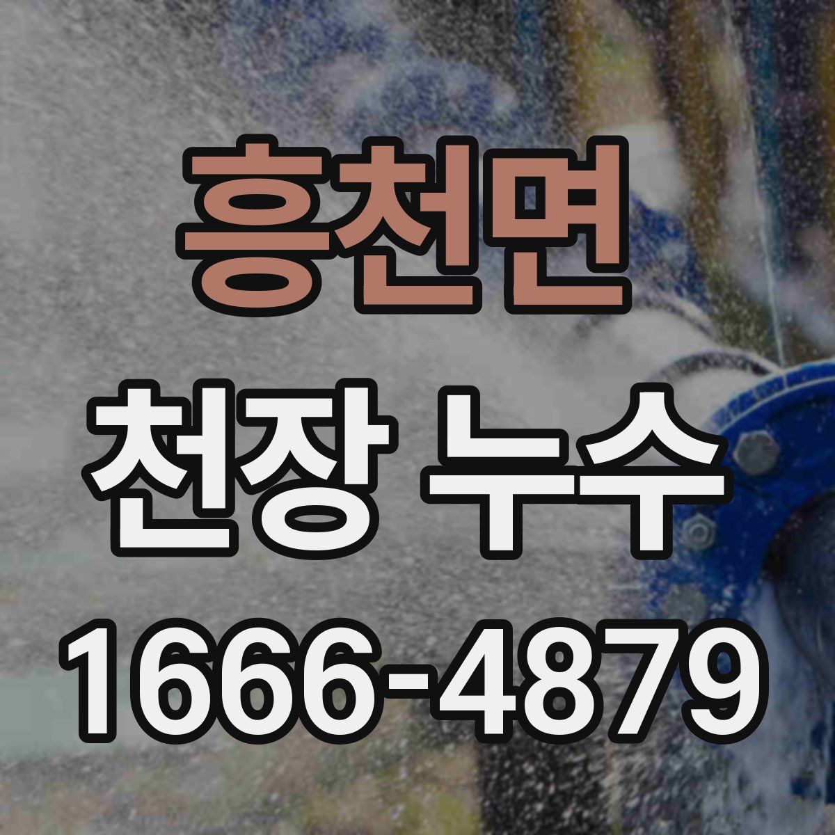 흥천면 천장 누수