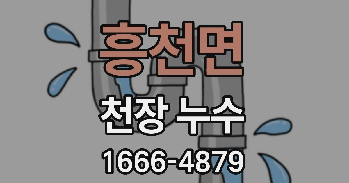 흥천면 천장 누수