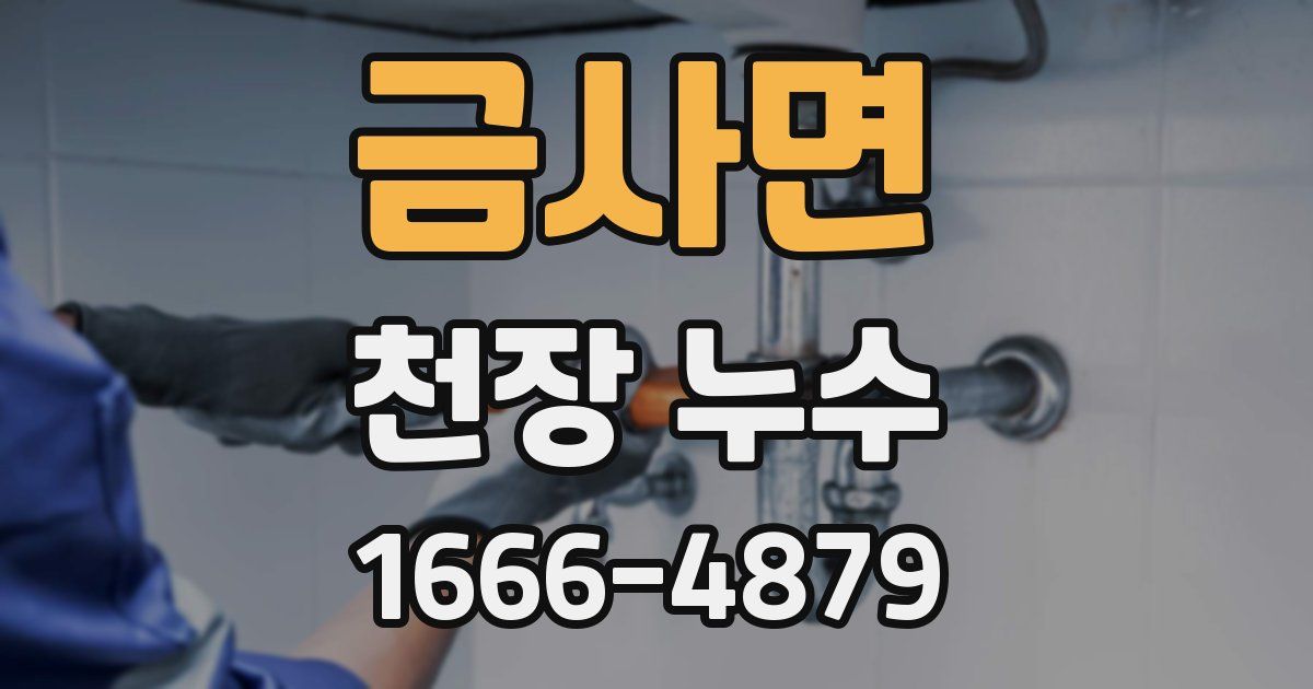 금사면 천장 누수