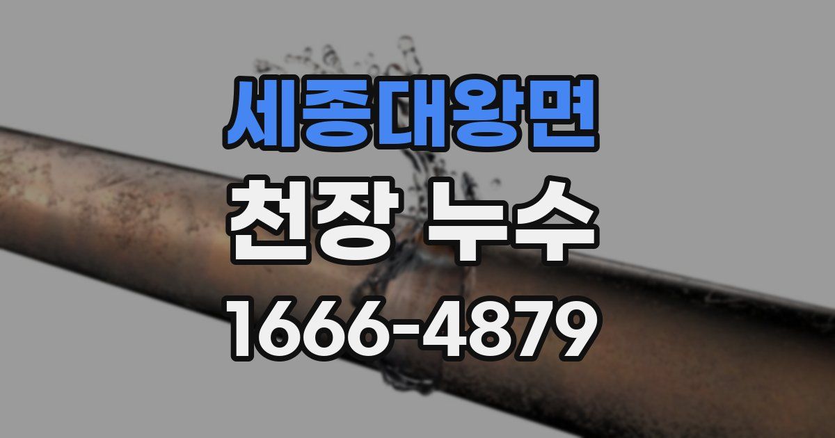 세종대왕면 천장 누수