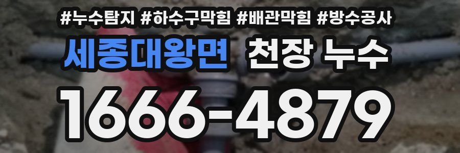 세종대왕면 천장 누수