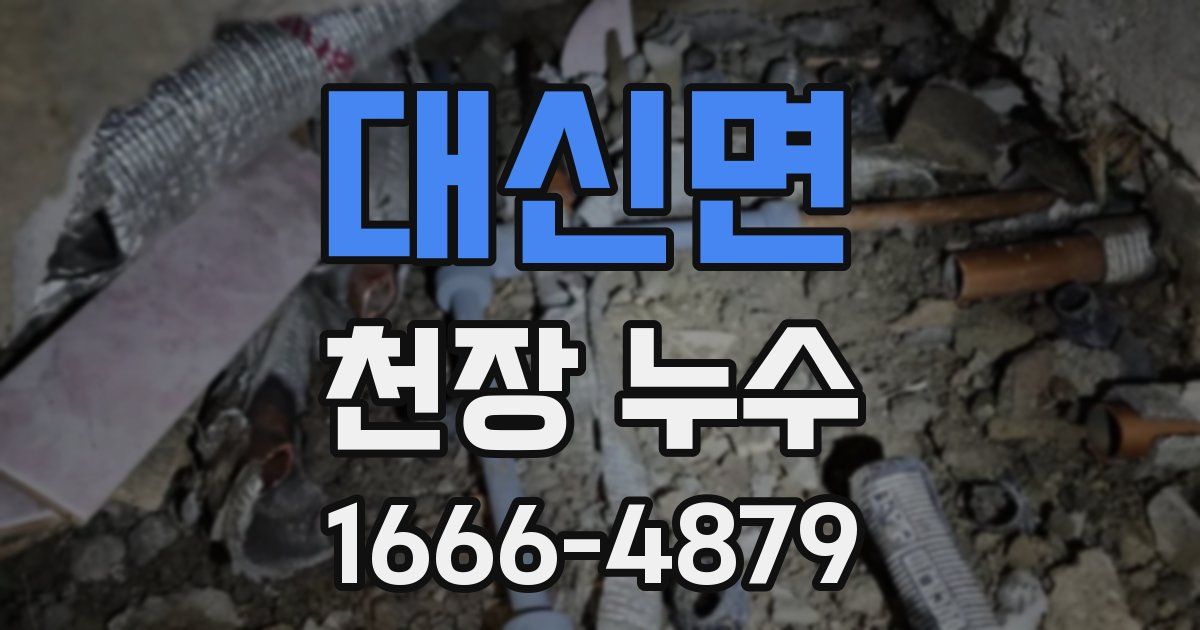 대신면 천장 누수
