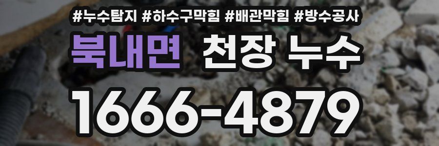 북내면 천장 누수