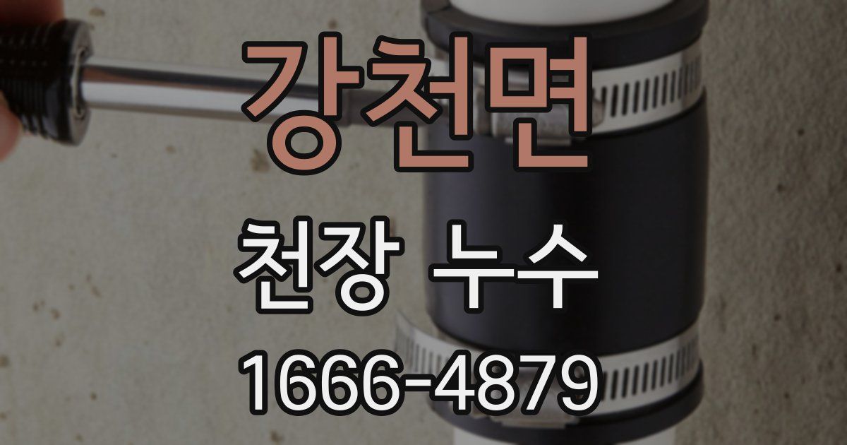 강천면 천장 누수