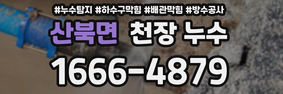 산북면 천장 누수