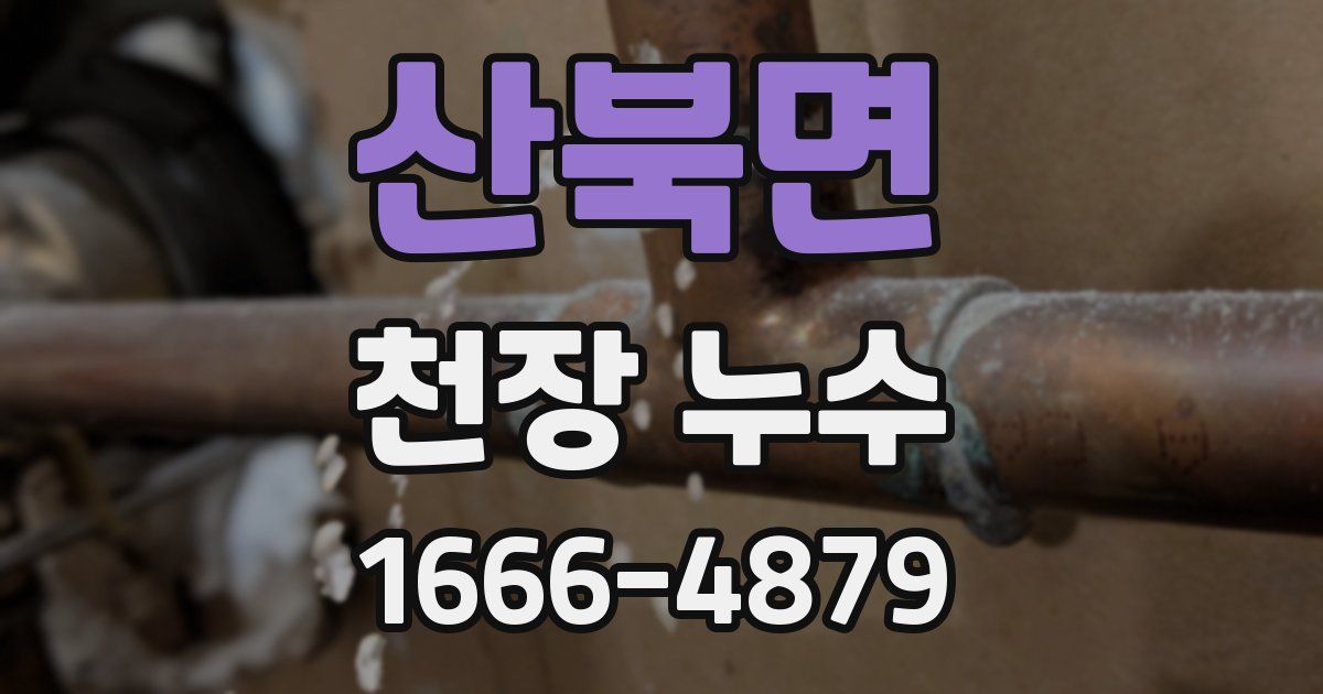 산북면 천장 누수