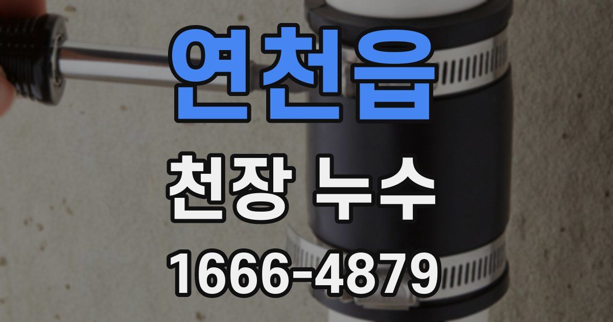 연천읍 천장 누수
