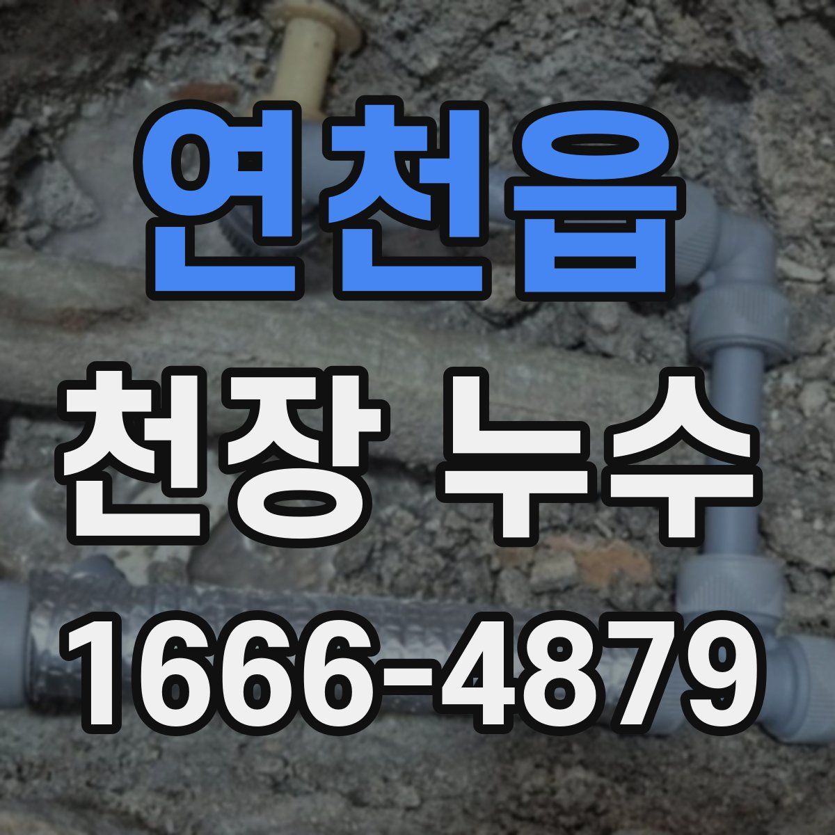 연천읍 천장 누수