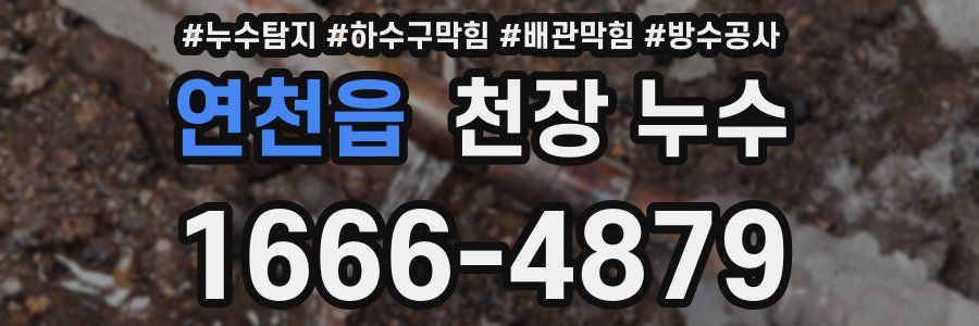 연천읍 천장 누수
