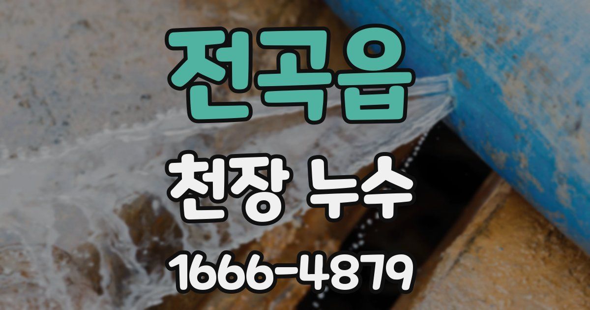 전곡읍 천장 누수