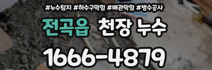 전곡읍 천장 누수