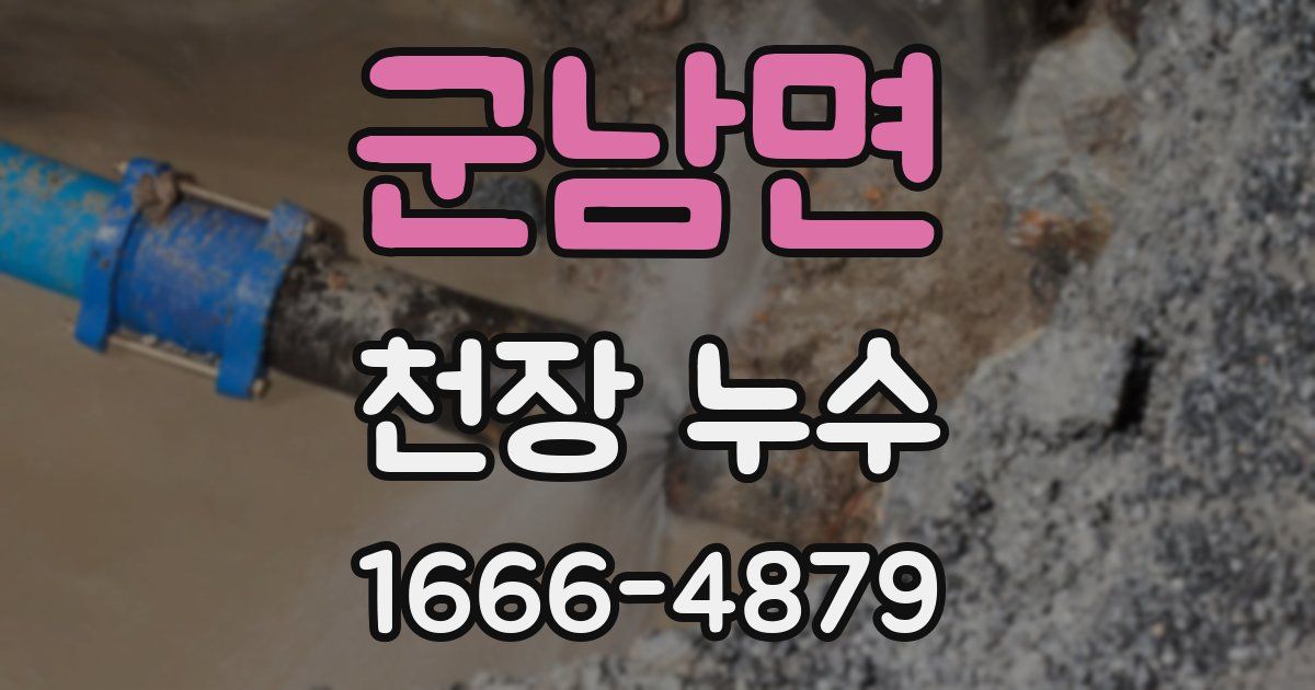 군남면 천장 누수