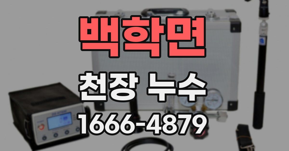 백학면 천장 누수