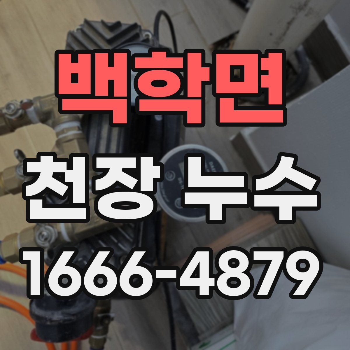 백학면 천장 누수