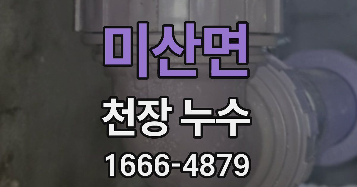 미산면 천장 누수
