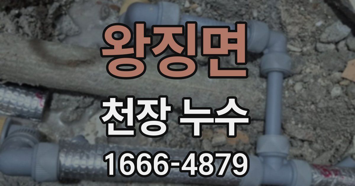 왕징면 천장 누수