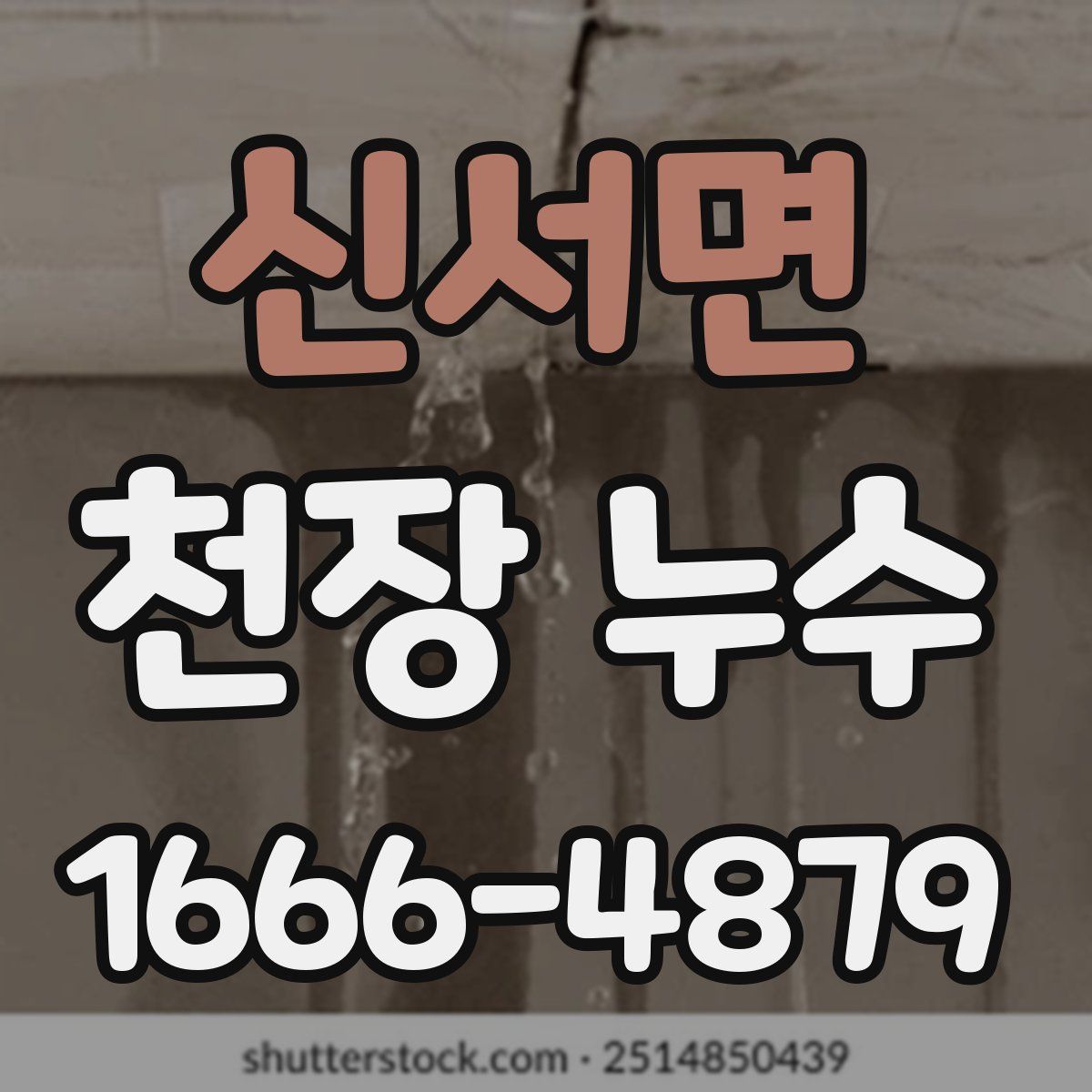 신서면 천장 누수