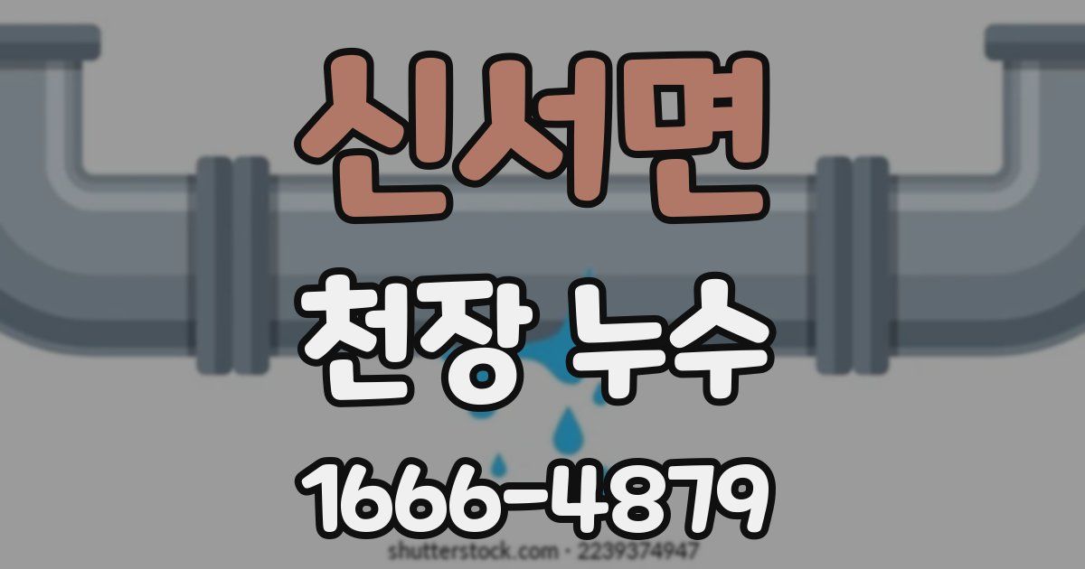 신서면 천장 누수