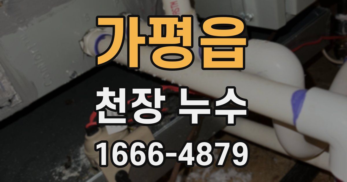가평읍 천장 누수