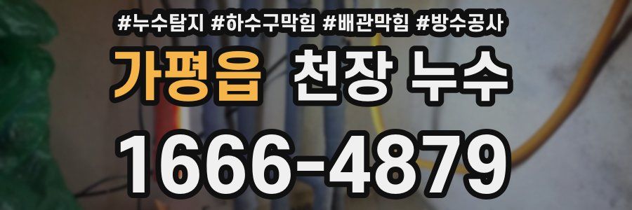 가평읍 천장 누수