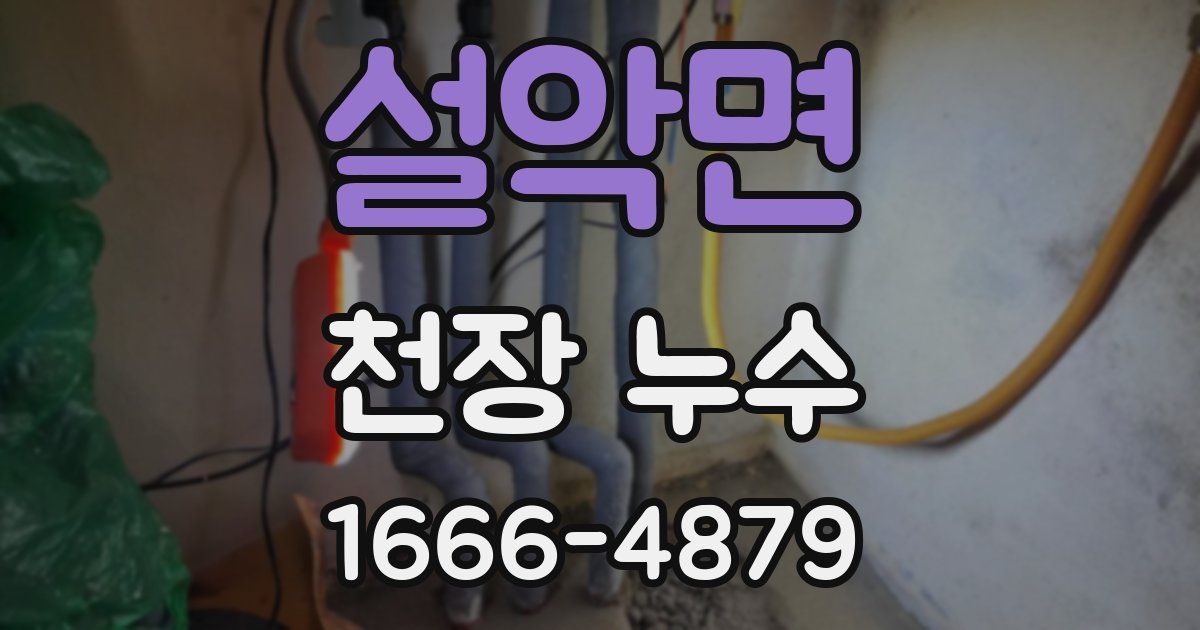 설악면 천장 누수