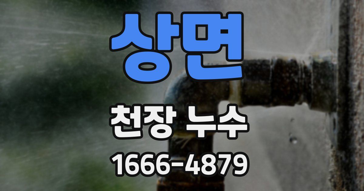 상면 천장 누수