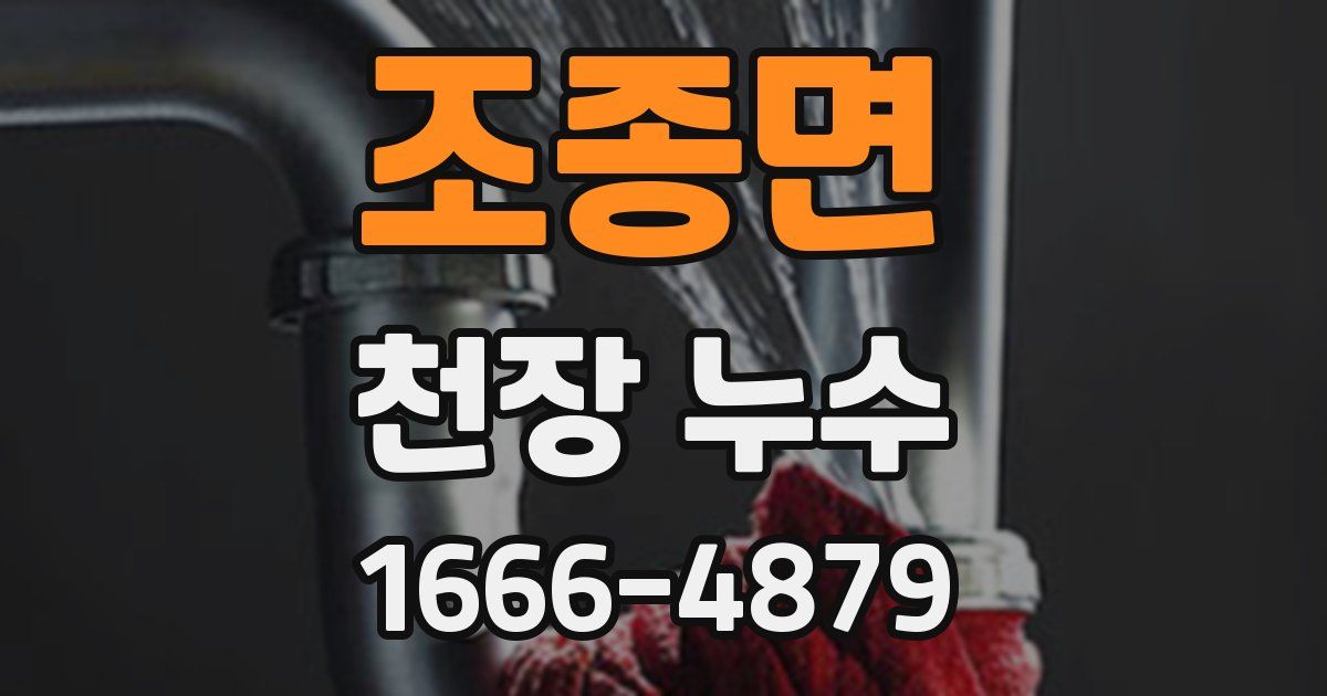 조종면 천장 누수