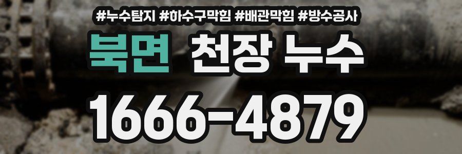 북면 천장 누수