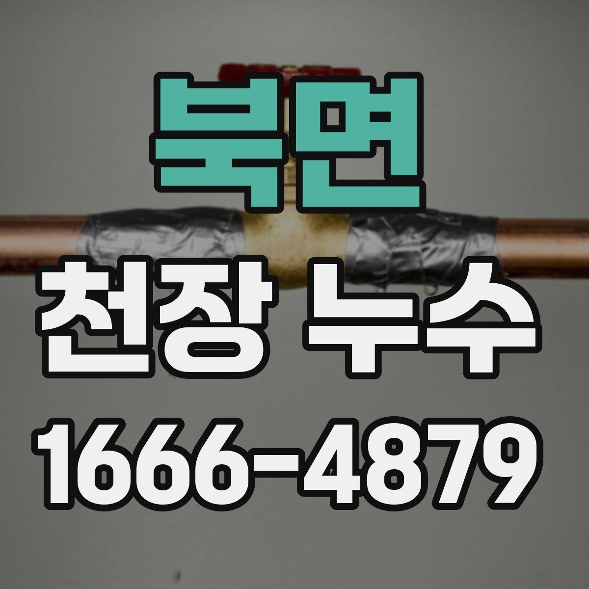 북면 천장 누수