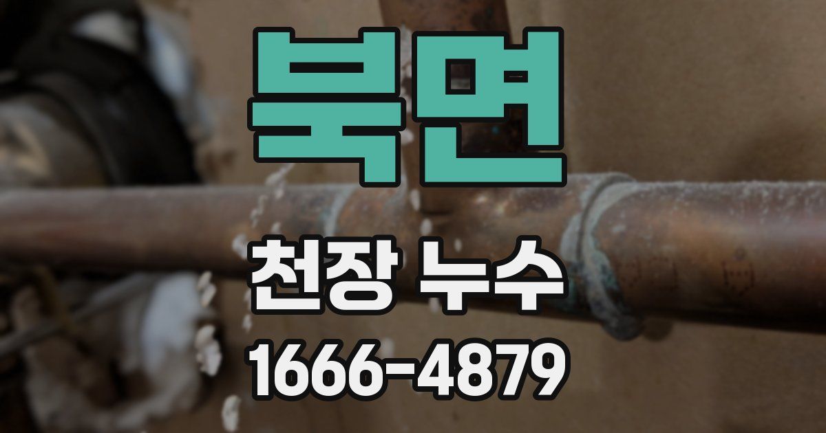 북면 천장 누수