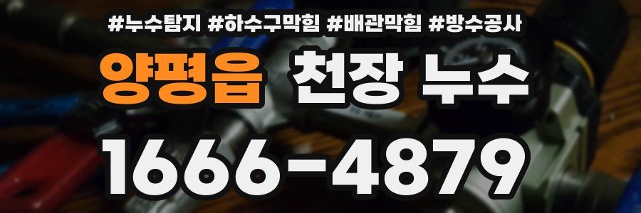 양평읍 천장 누수