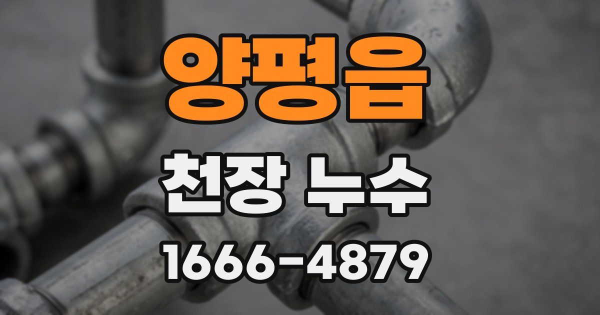 양평읍 천장 누수