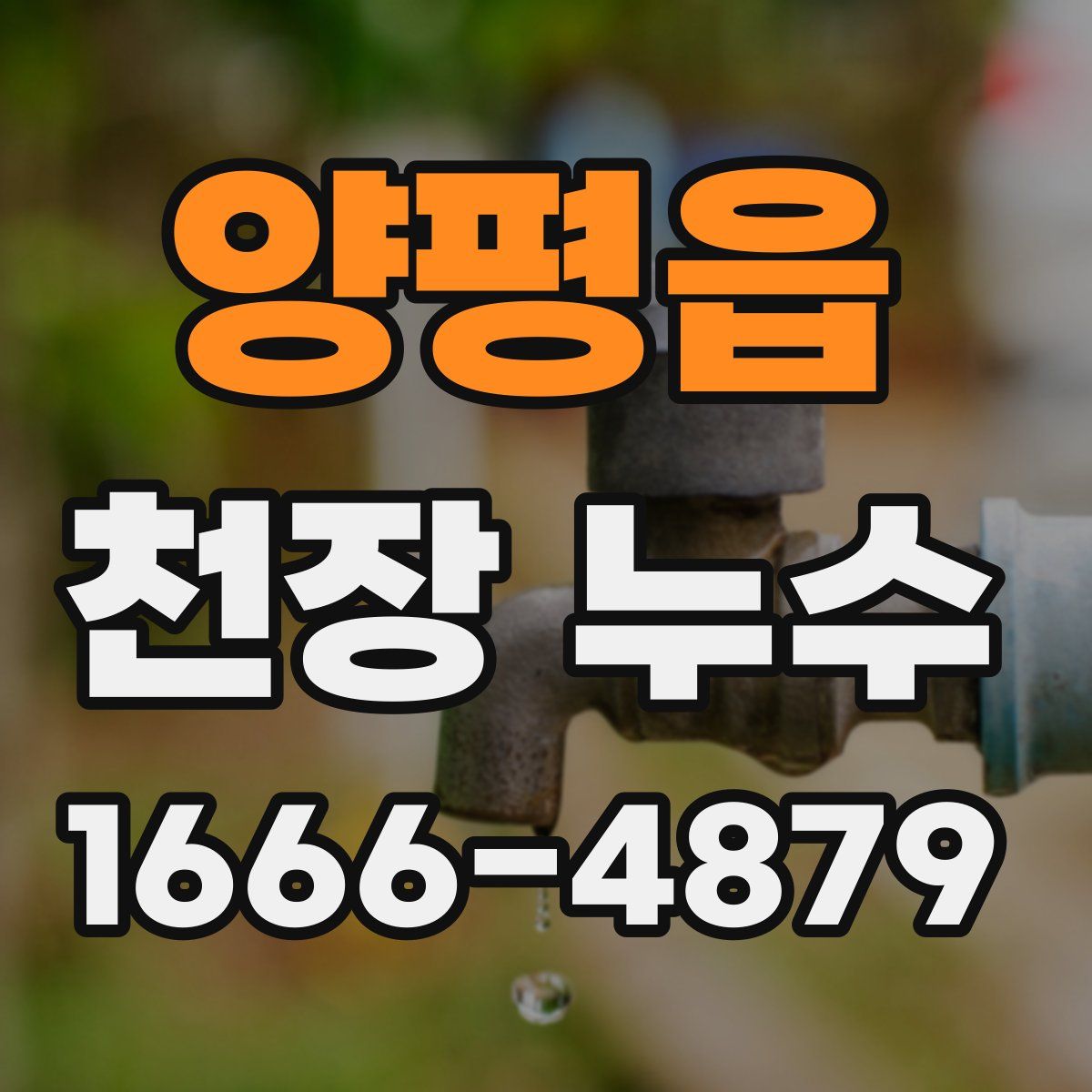 양평읍 천장 누수