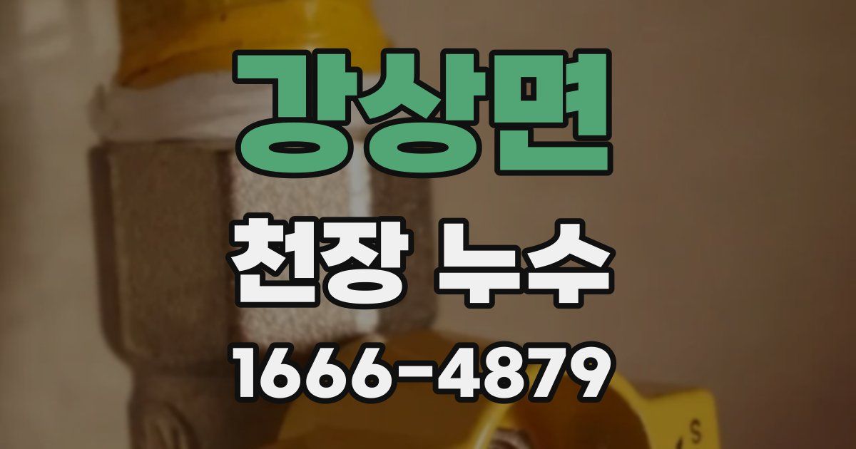 강상면 천장 누수