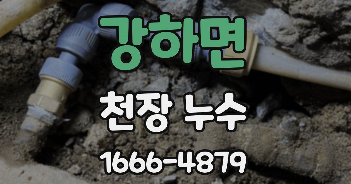 강하면 천장 누수