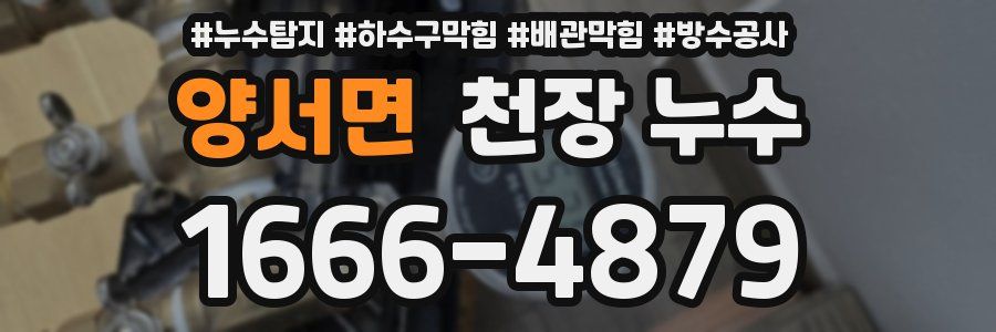 양서면 천장 누수