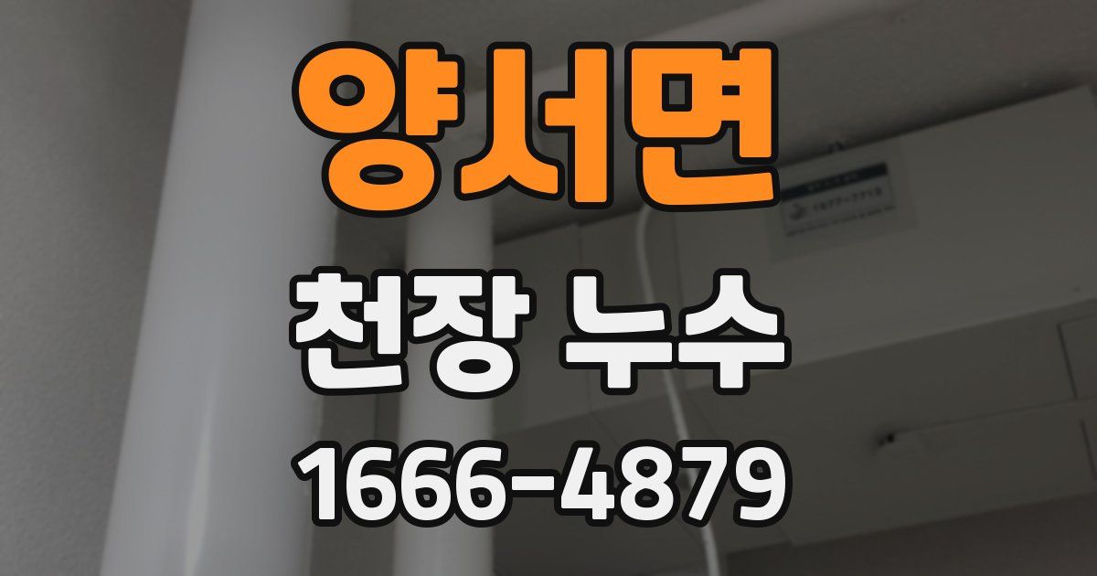 양서면 천장 누수