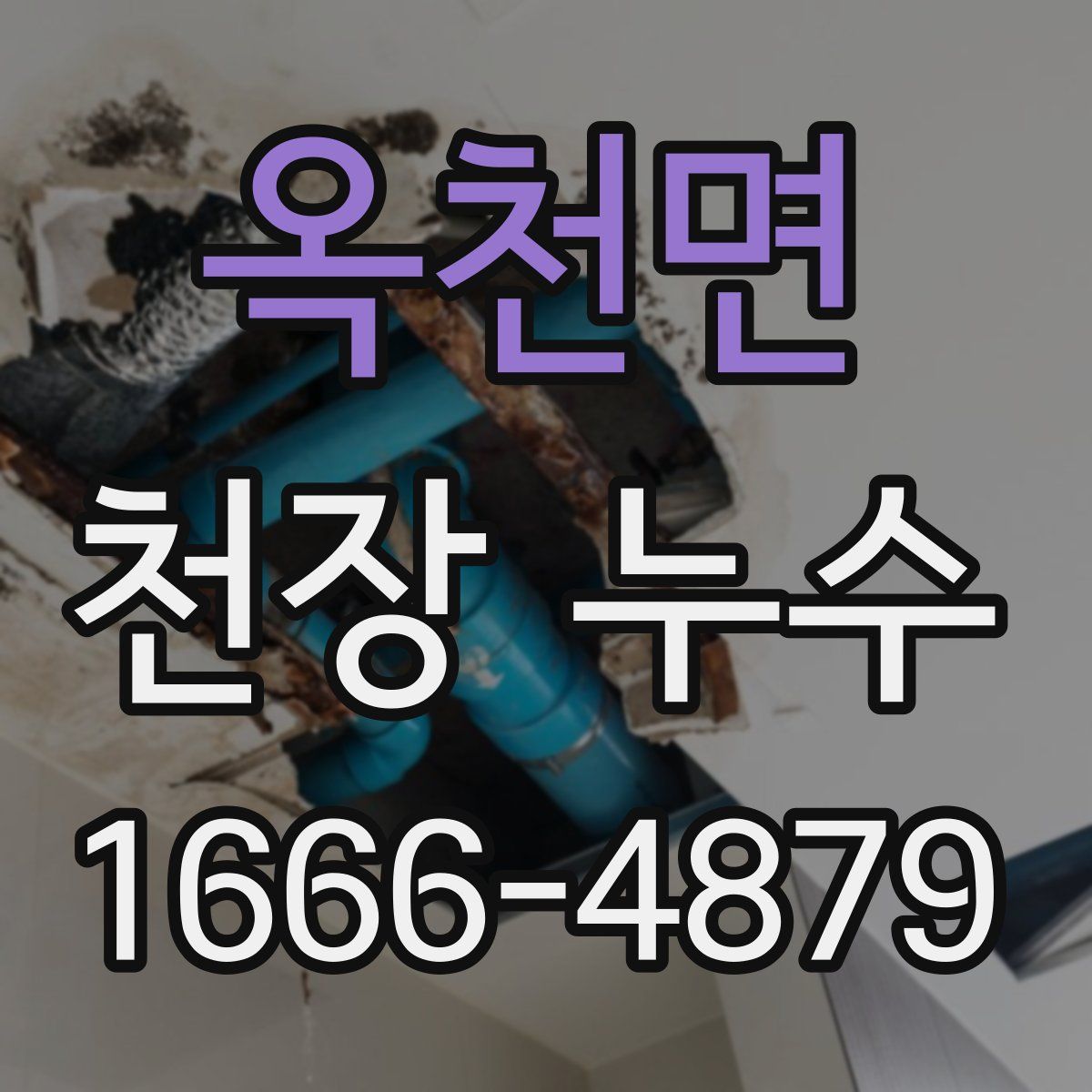 옥천면 천장 누수