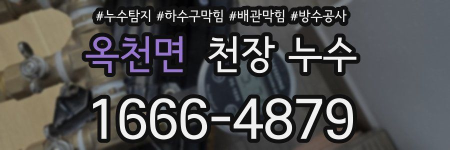 옥천면 천장 누수