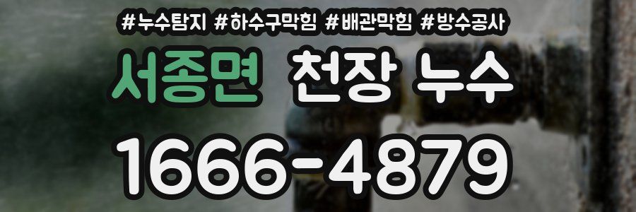 서종면 천장 누수