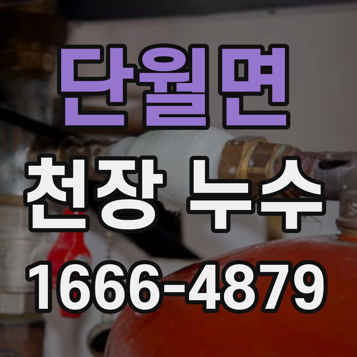단월면 천장 누수